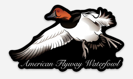 Canvasback Sticker